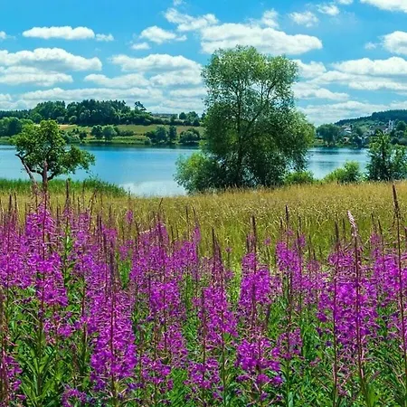 Maarpanorama In Het Maarberg Schalkenmehren
